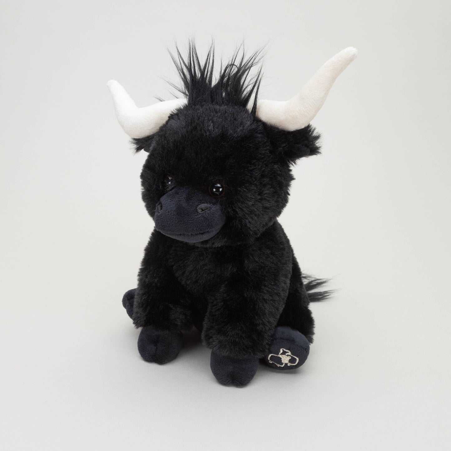 Black Longhorn Highland Cow