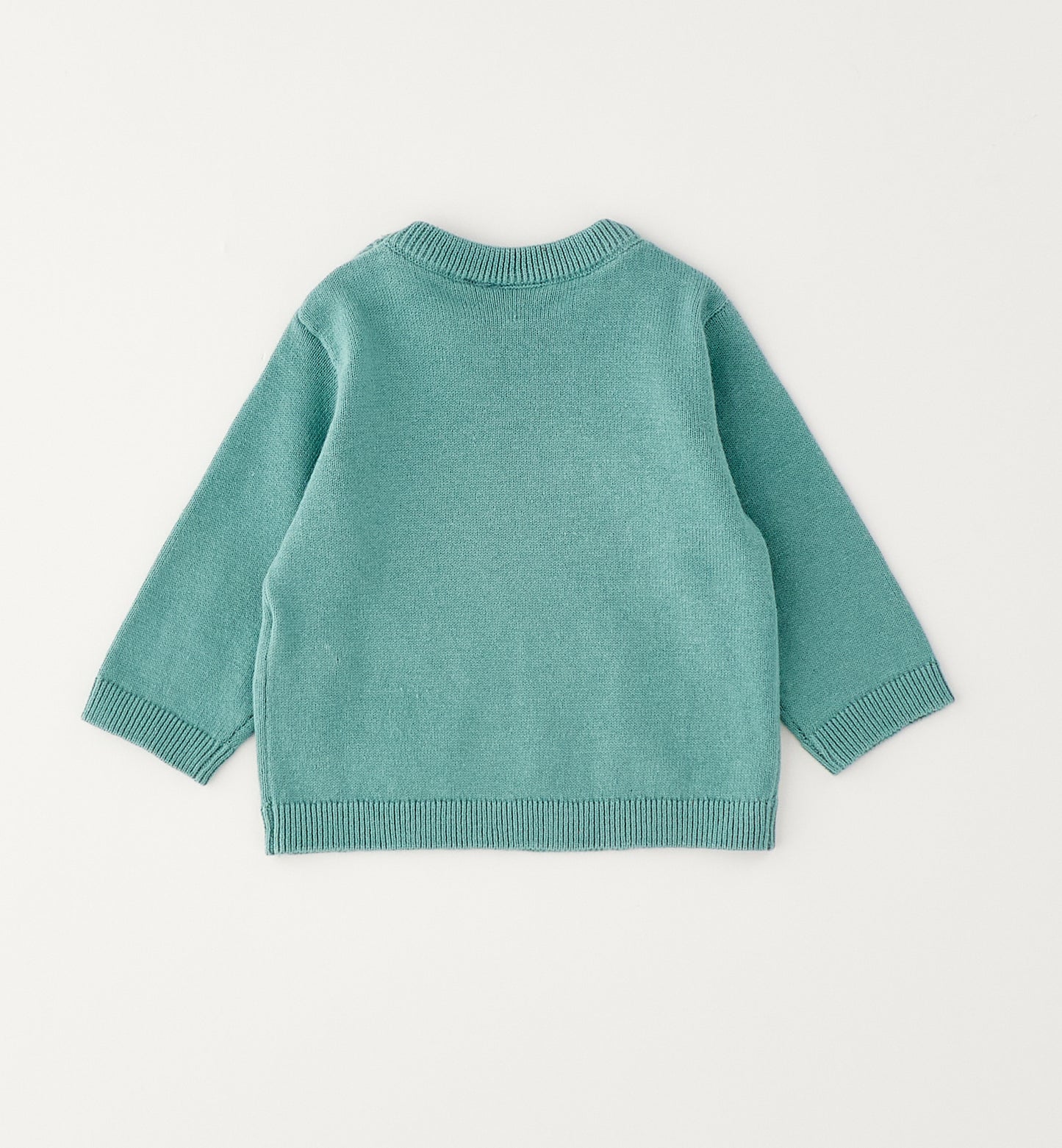 Baby Boy Jumper