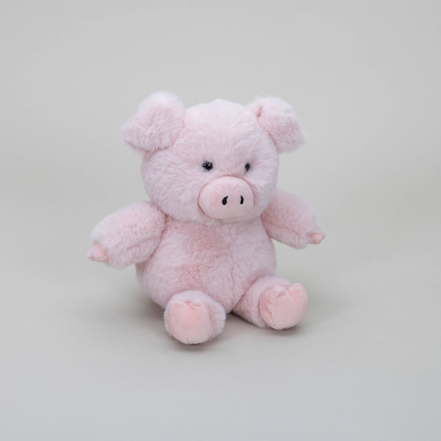 Mini Pig Teddy