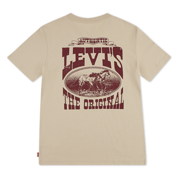 Levis Boys T-Shirt