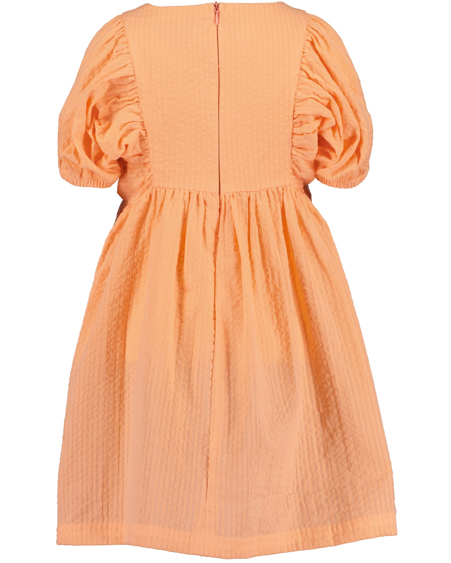 Orange Dress