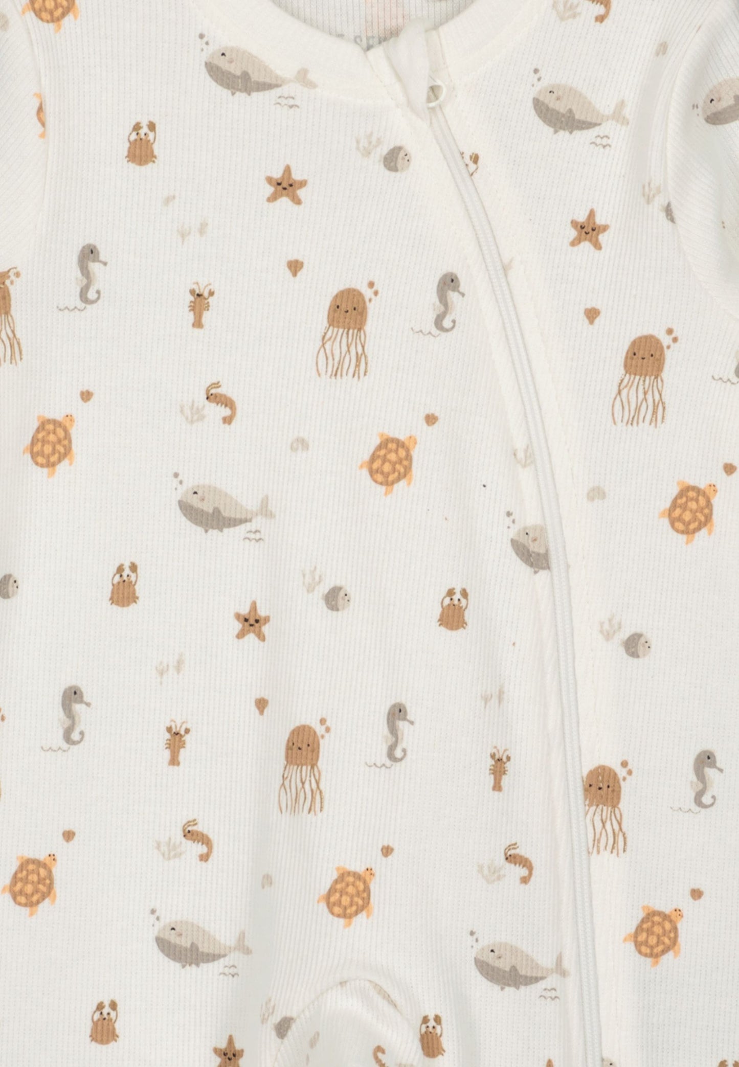 Baby Boys Babygrow