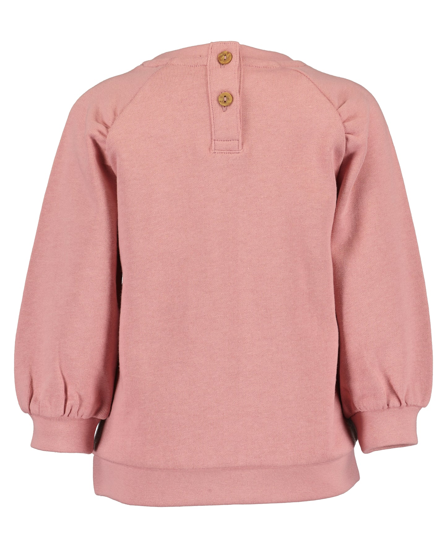 Toddler Girls Butterfly Jumper