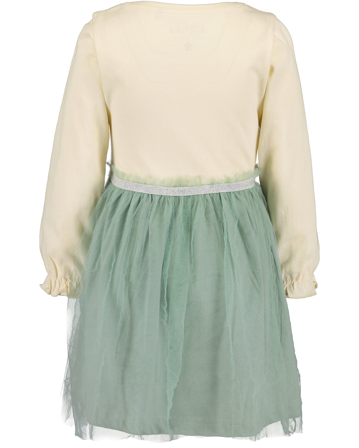 Girls Dress with Tulle Shirt