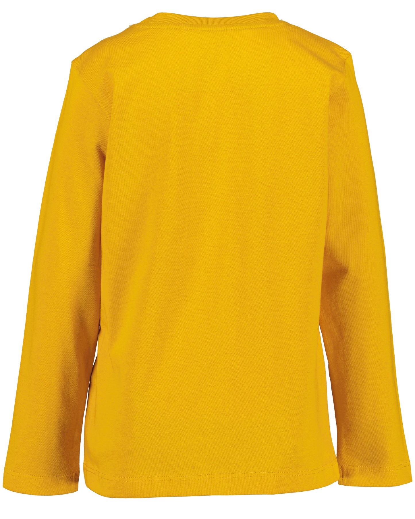 Boys Monkey Top
