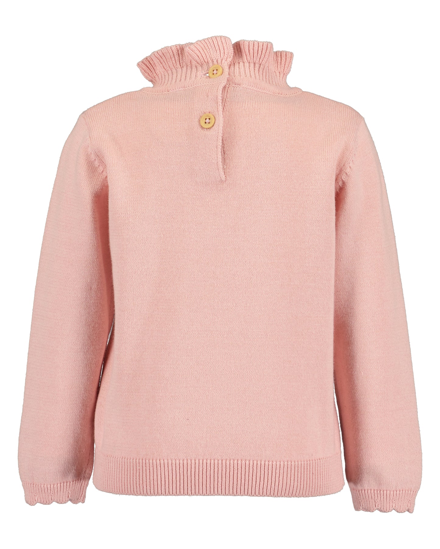 Baby Girls Jumper