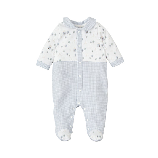 Baby Boy Babygrow