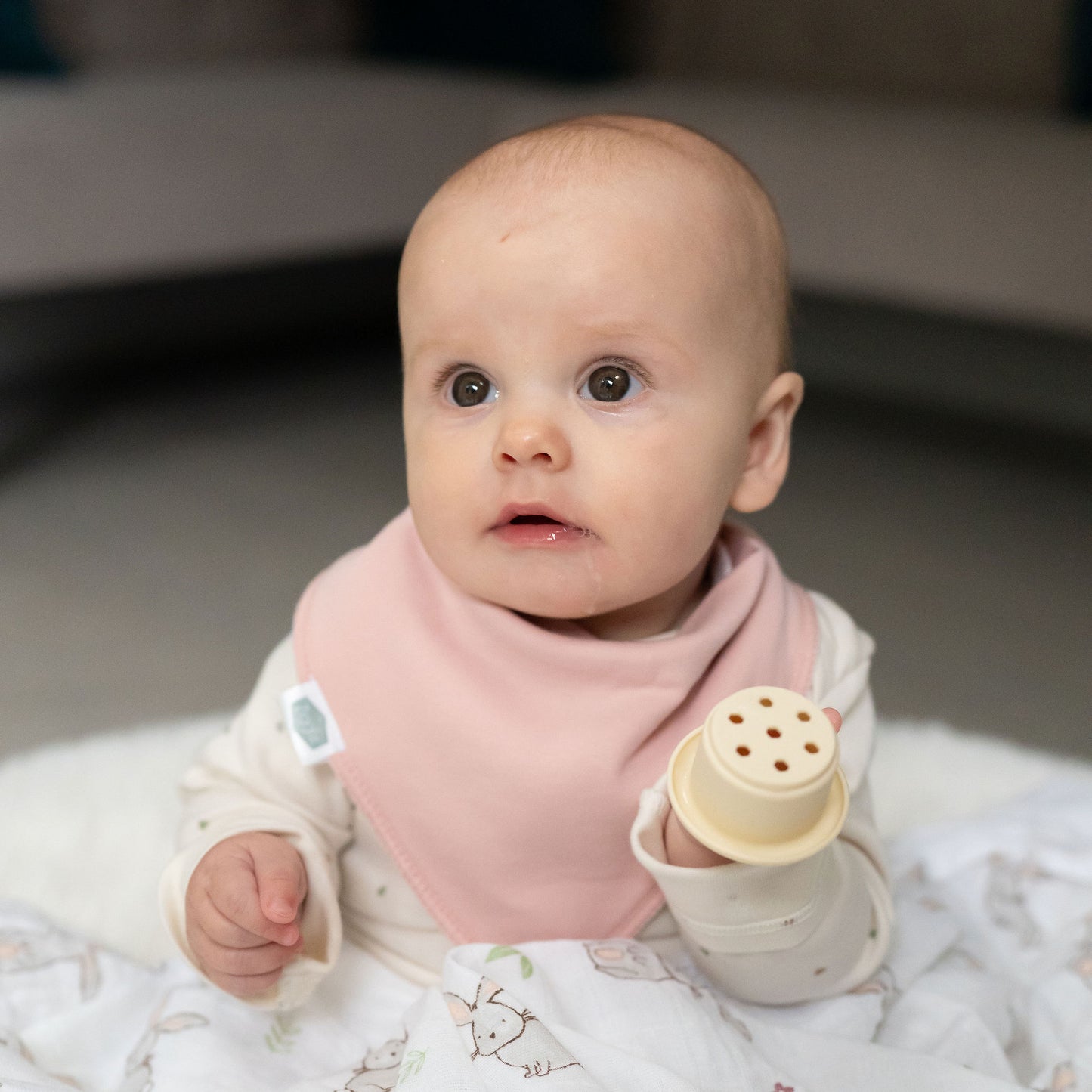 Neopolitan Pops bib set