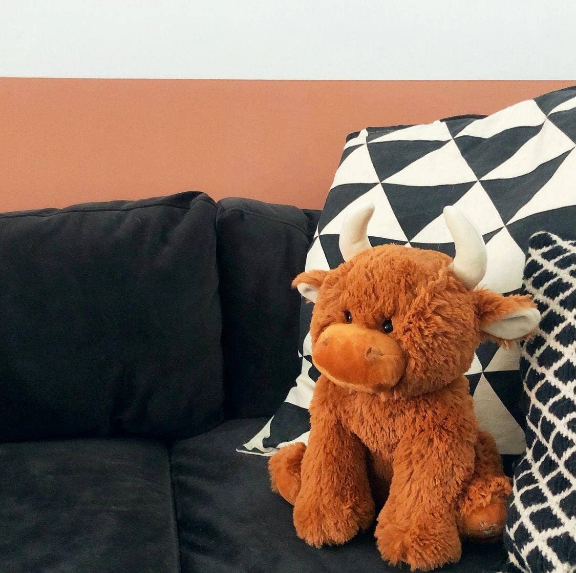 Jomanda Highland Cow