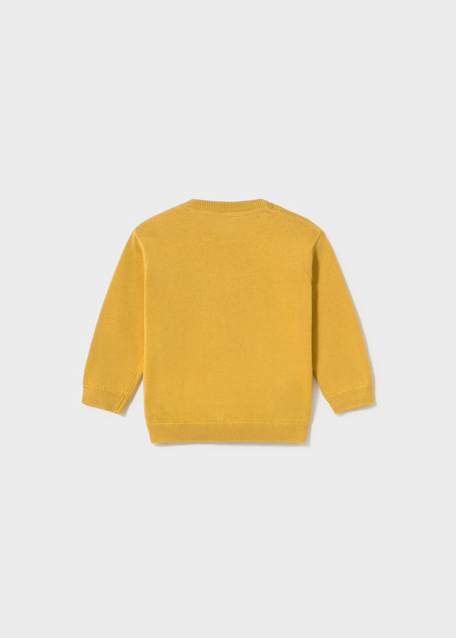 Baby Boy Jumper