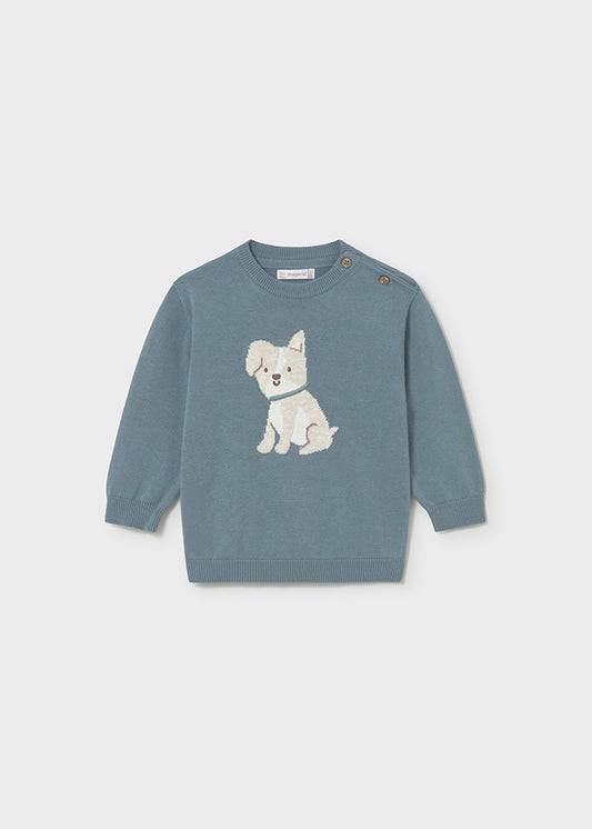 Boys Dog Jumper