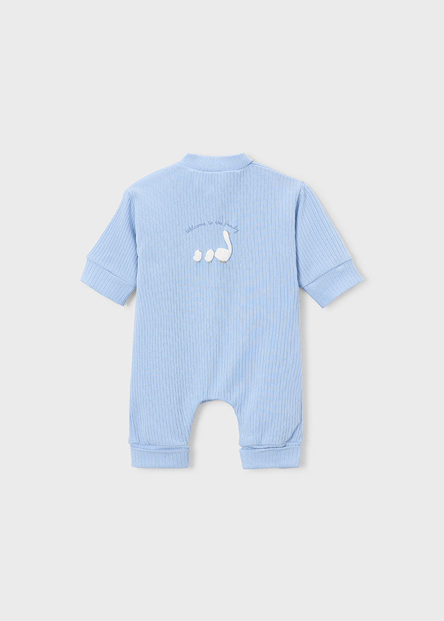 Baby Boy Babygrow