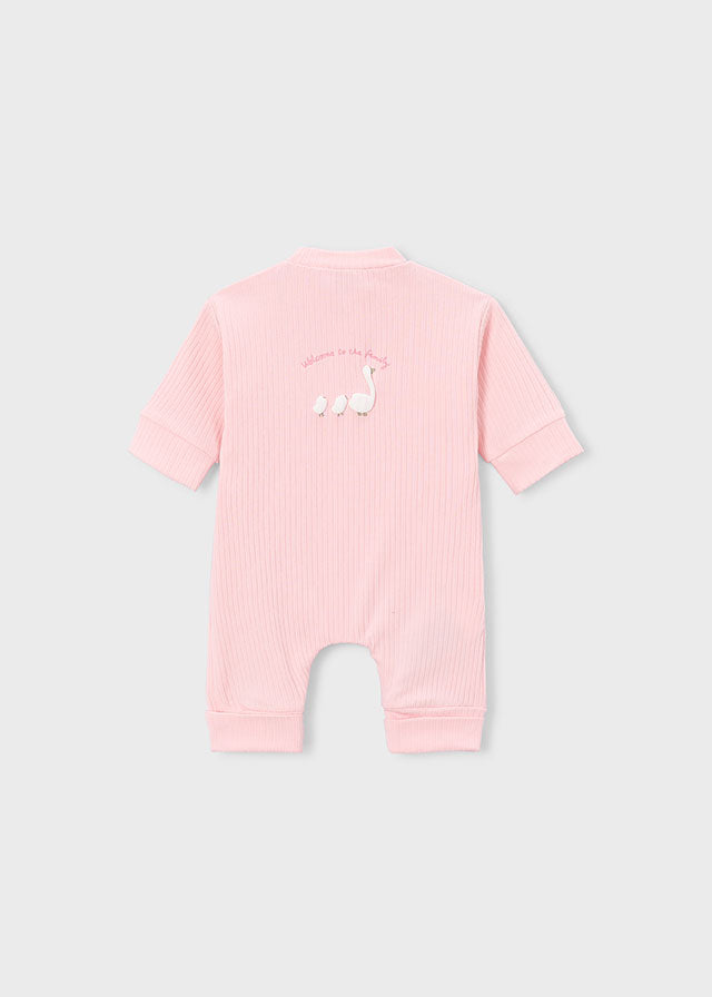Baby Girl babygrow