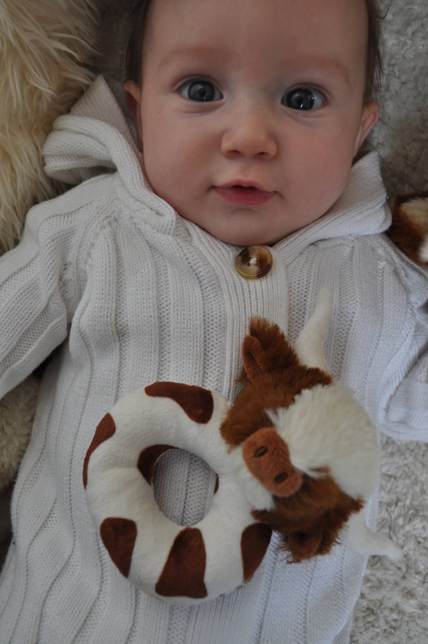 Longhorn Highland Cow Rattle