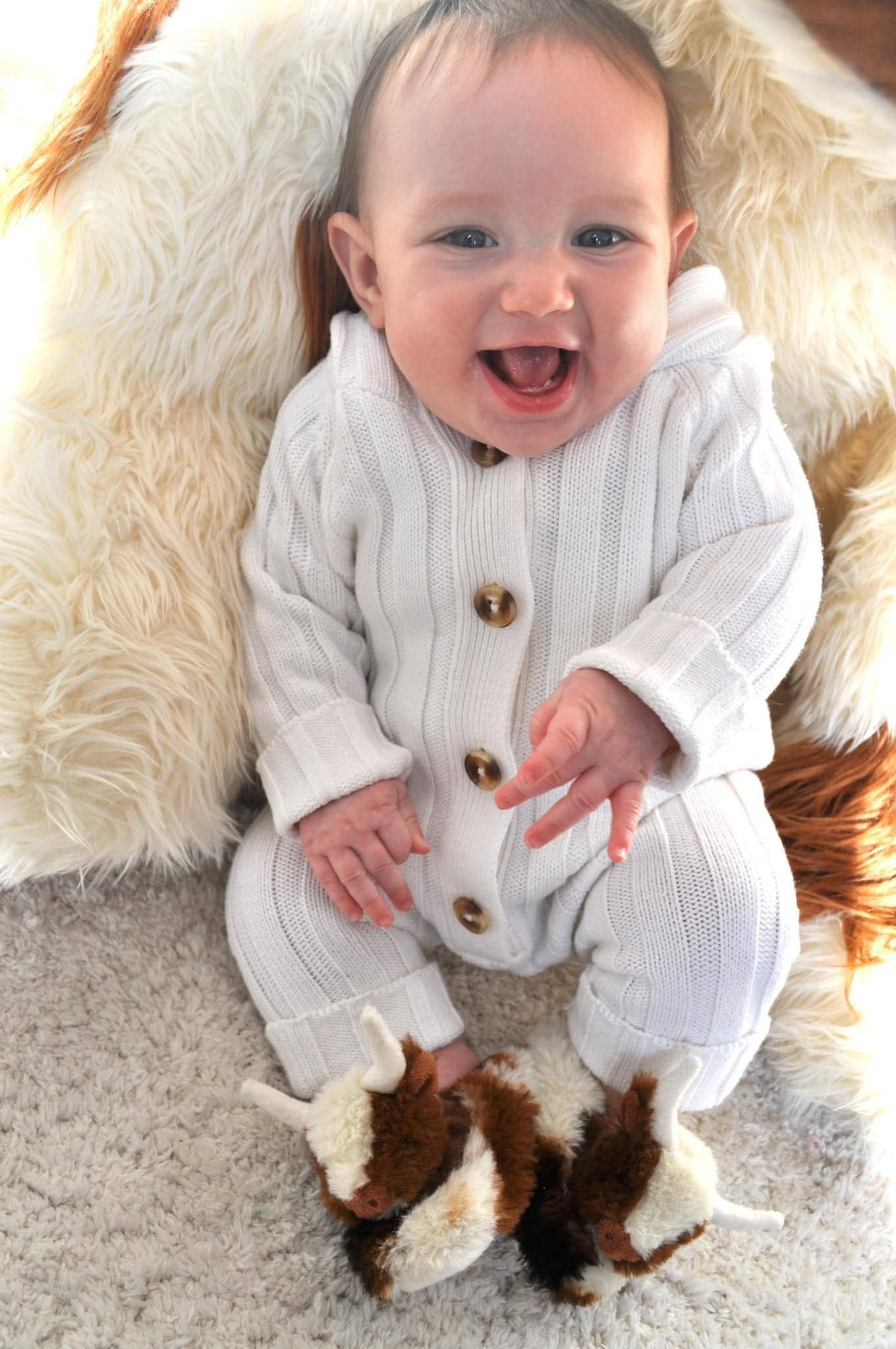 Longhorn Highland Cow Slippers