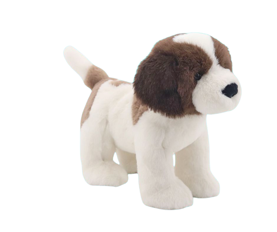 Saint Bernard