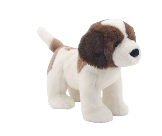 Saint Bernard