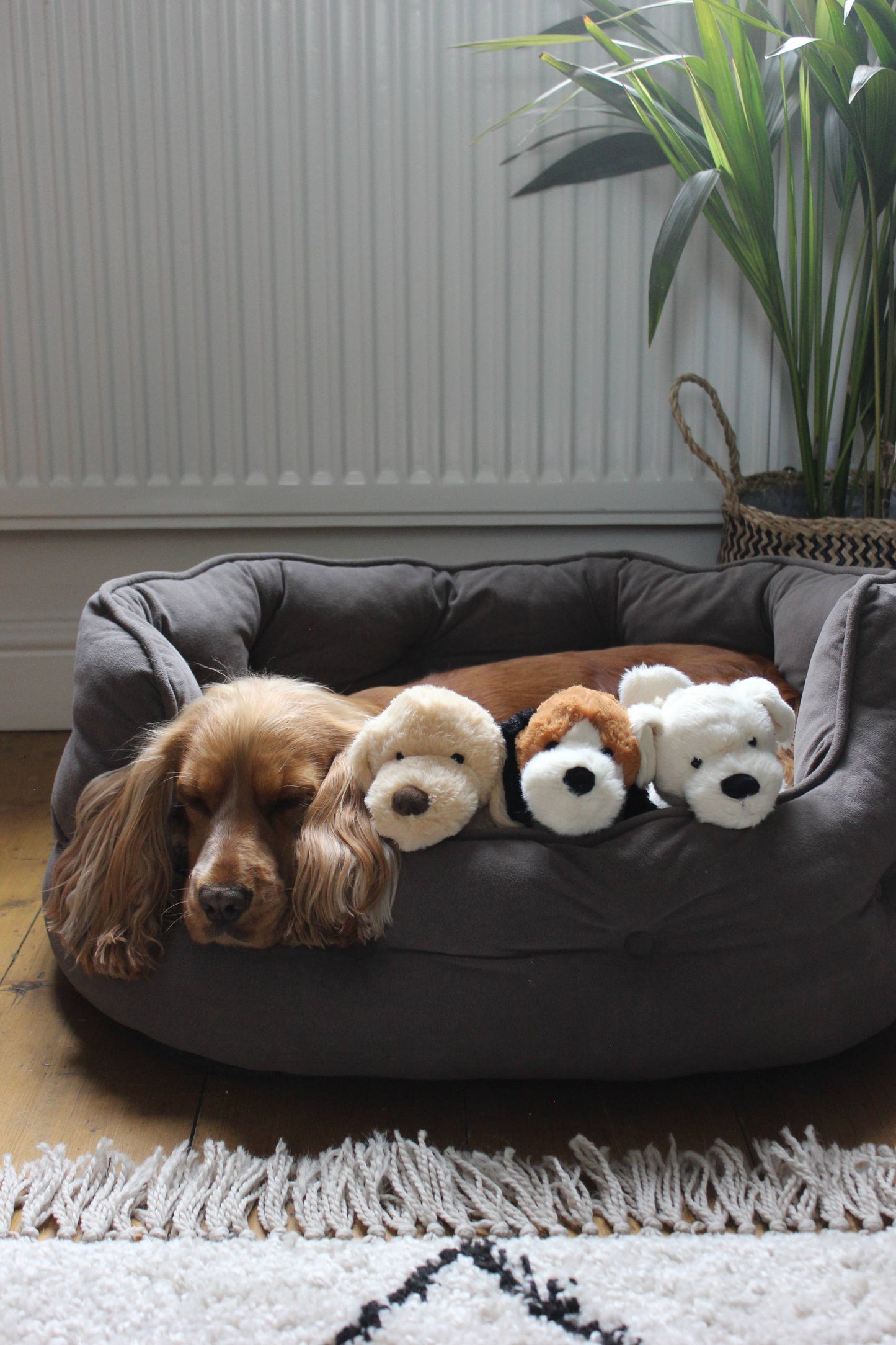Puppy Soft Toy - Cream