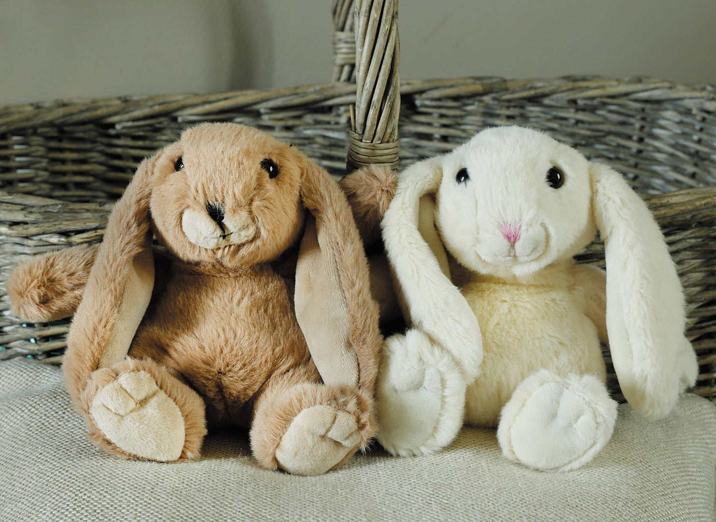 Brown Bunny