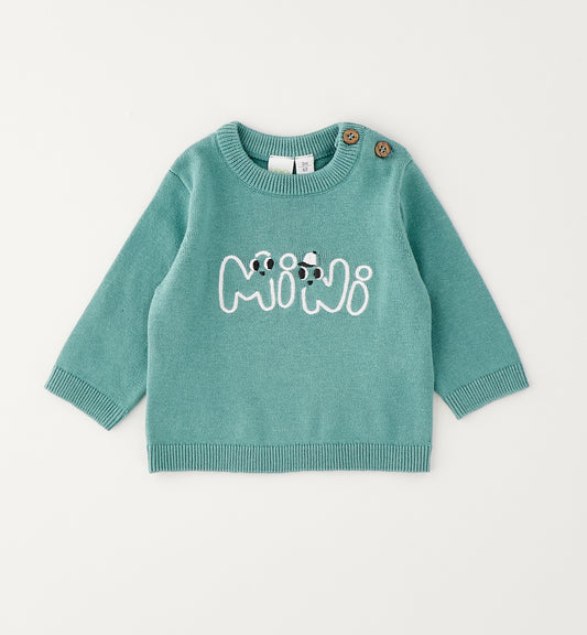 Baby Boy Jumper