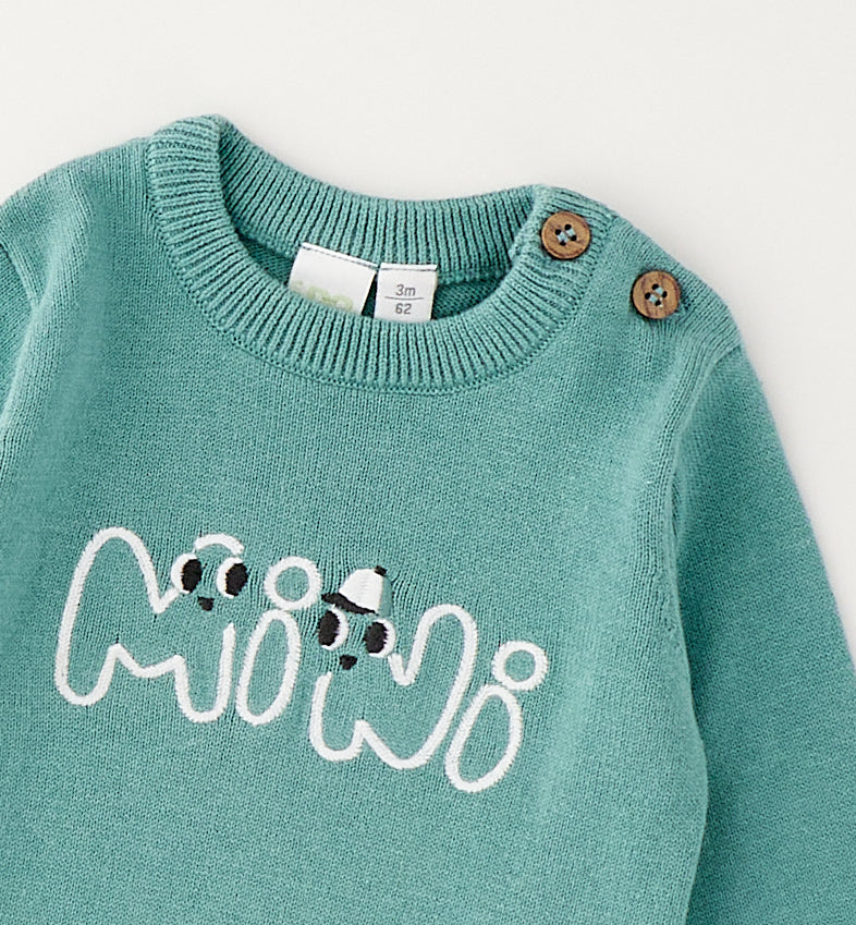 Baby Boy Jumper