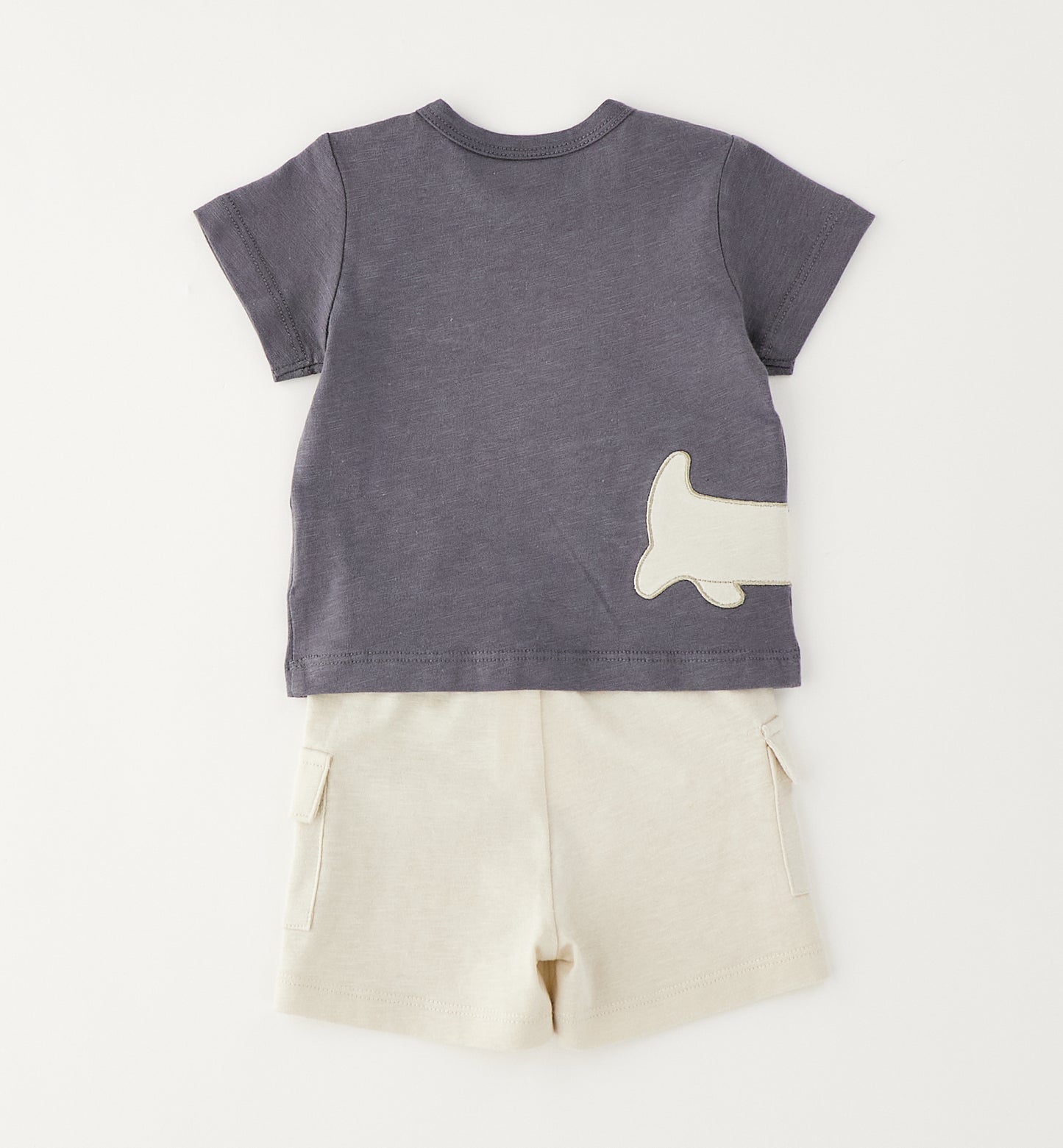 Baby Boys Shorts & T-Shirt Set