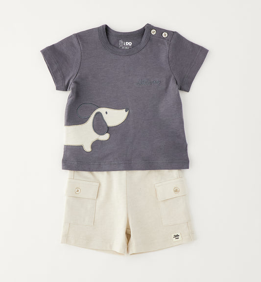 Baby Boys Shorts & T-Shirt Set