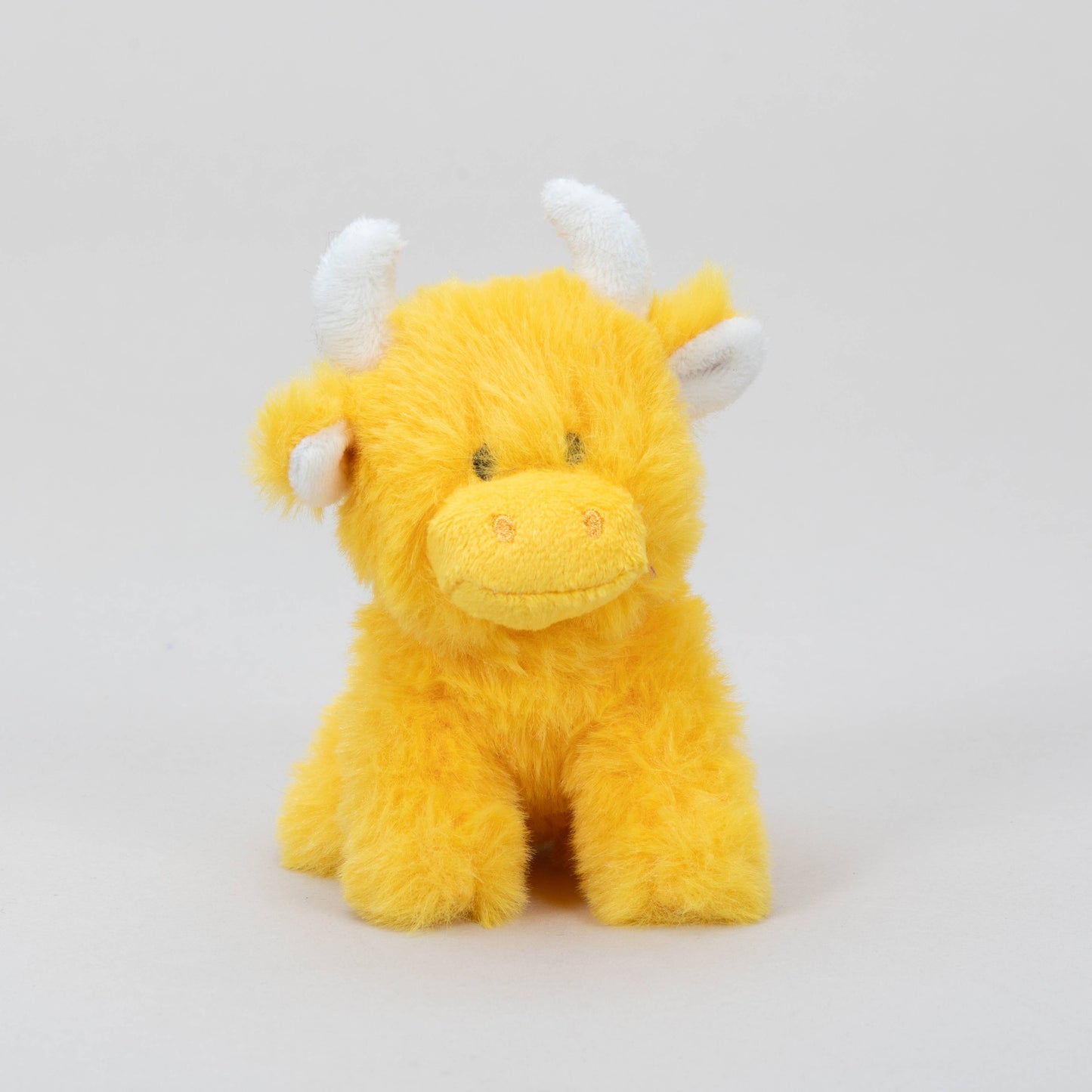 Orange Highland Cow