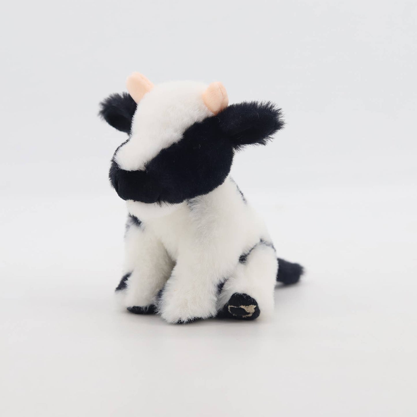 Black & White Dairy Cow