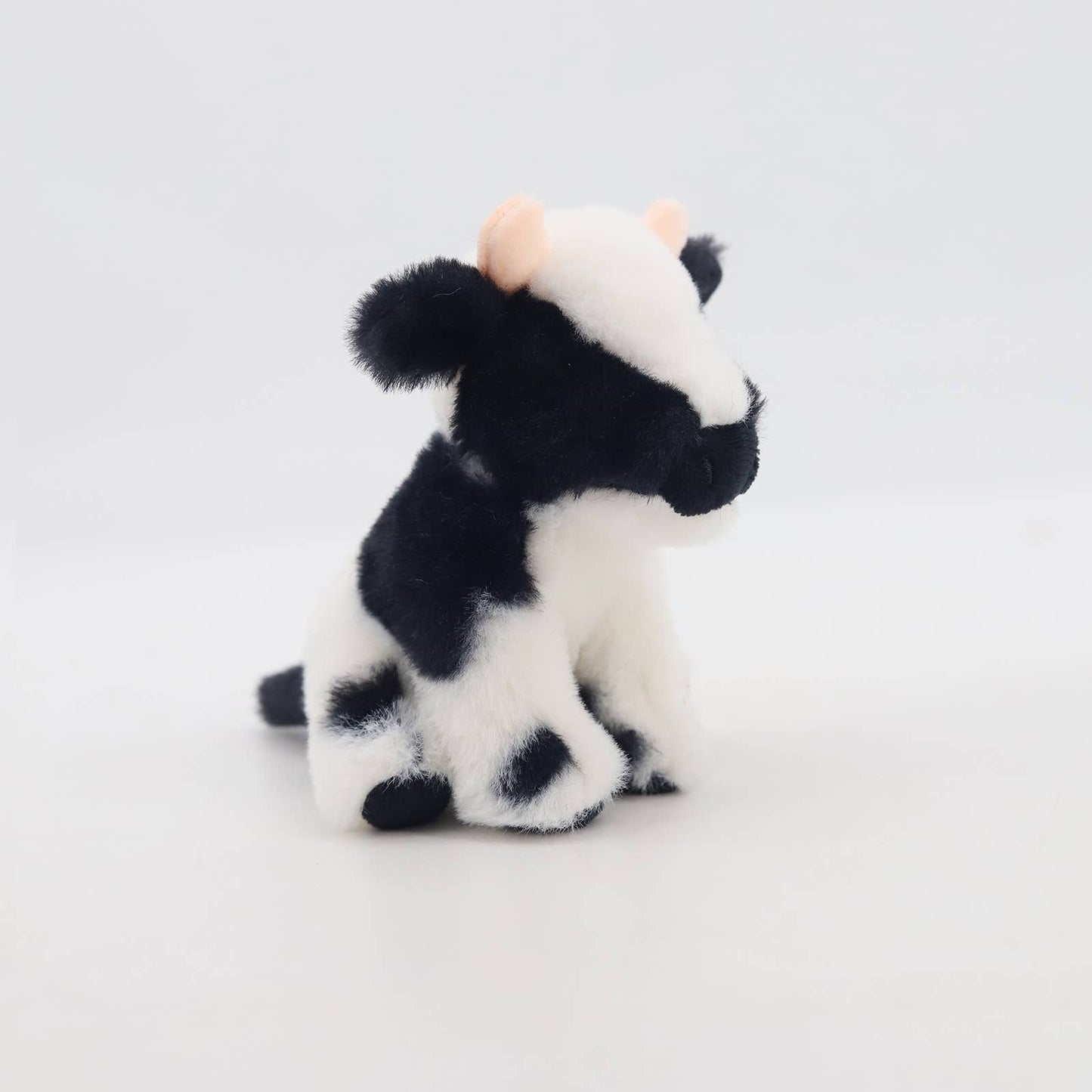 Black & White Dairy Cow