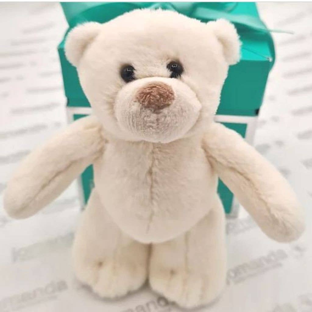 Mini Bear