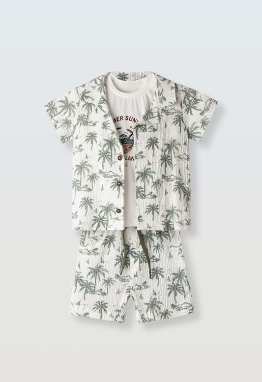 Baby Boy Shirt and Shorts Set
