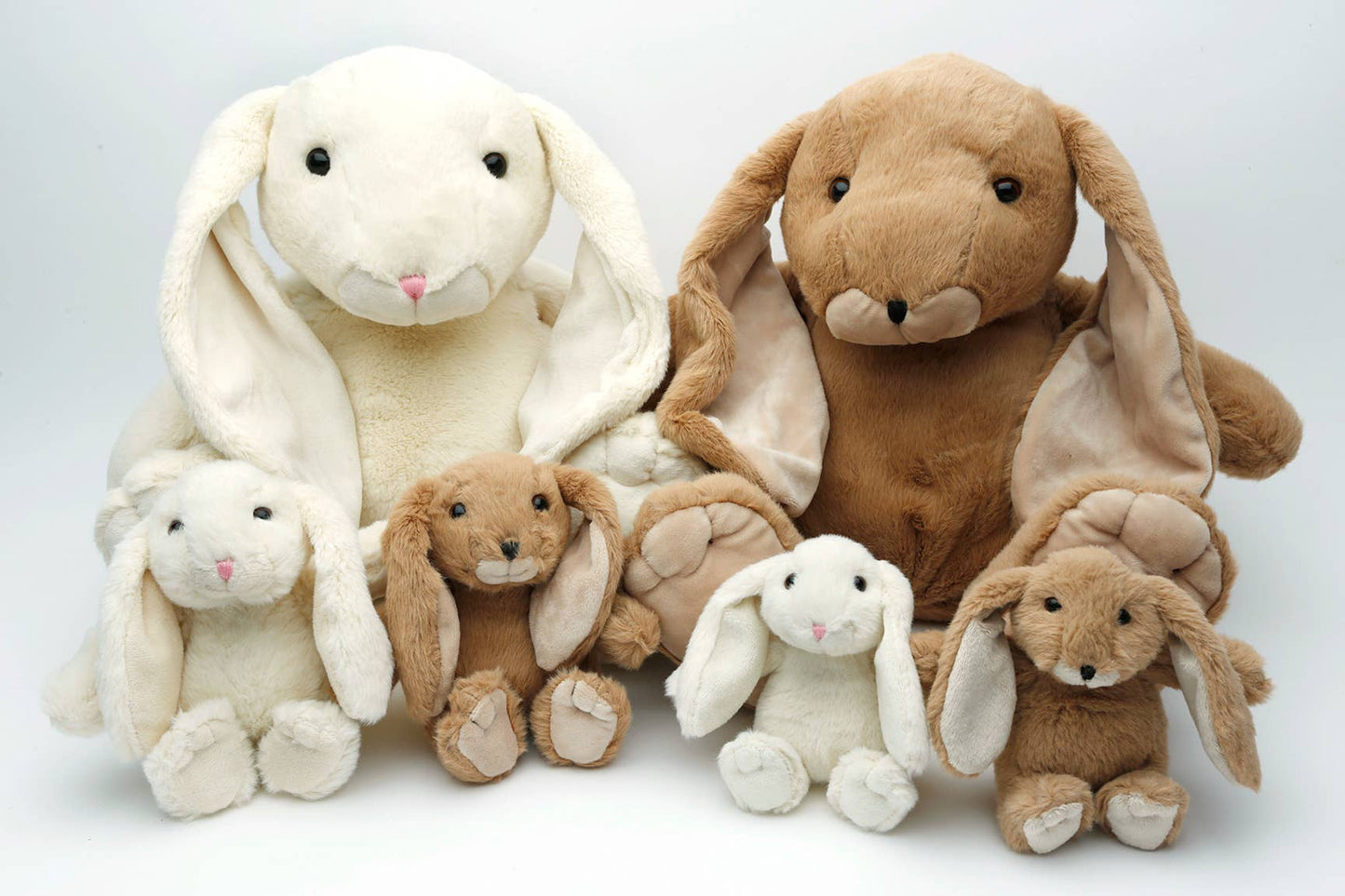 Brown Bunny