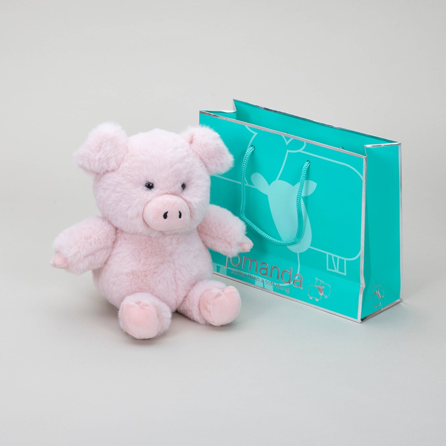 Mini Pig Teddy