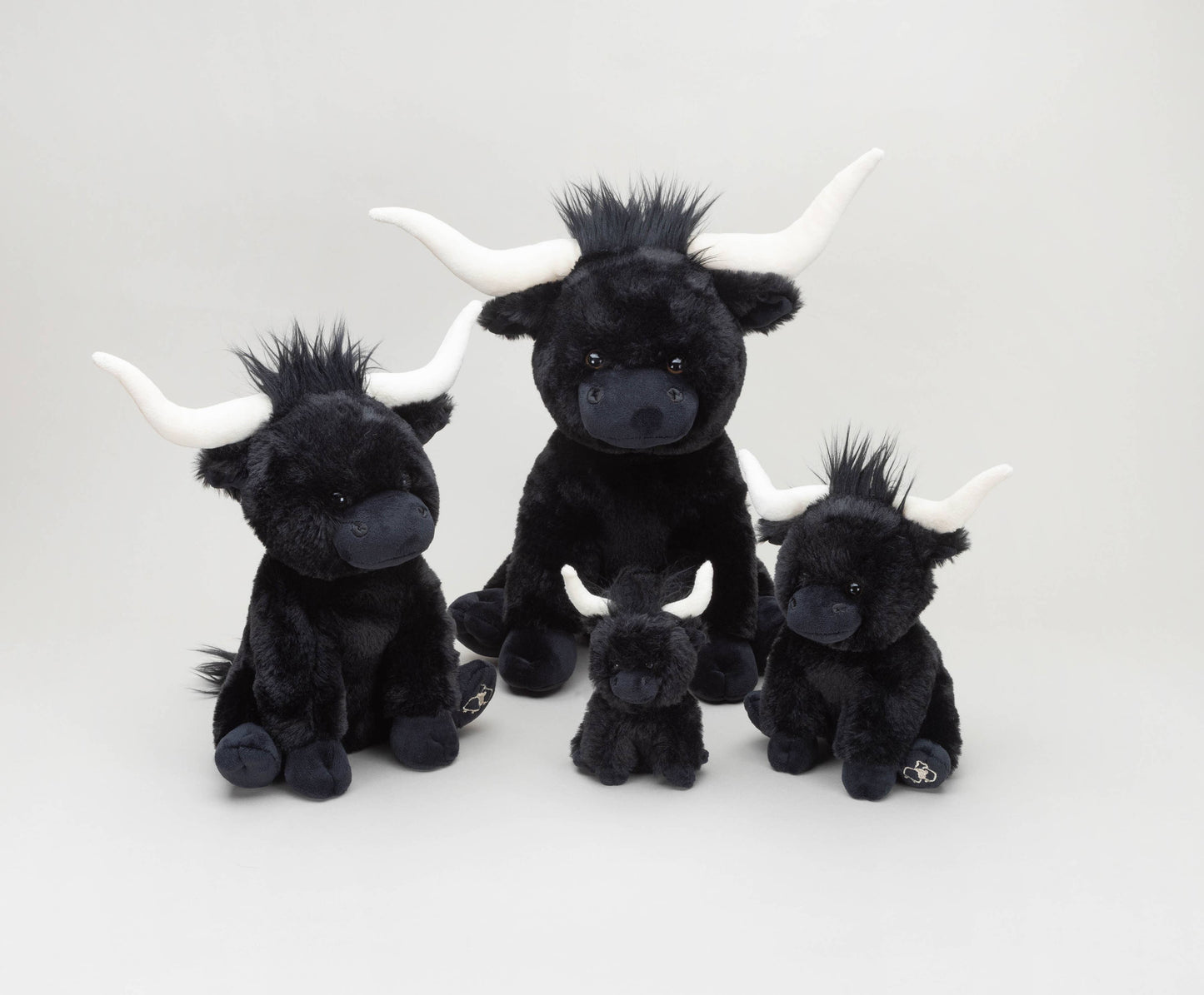 Black Longhorn Highland Cow