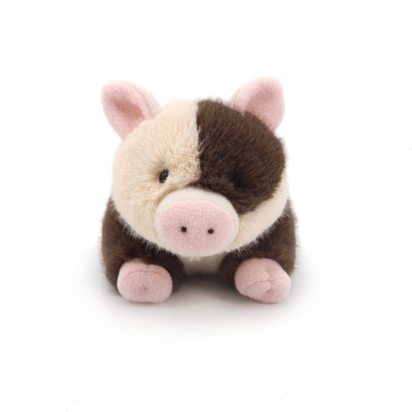Spotty Pig