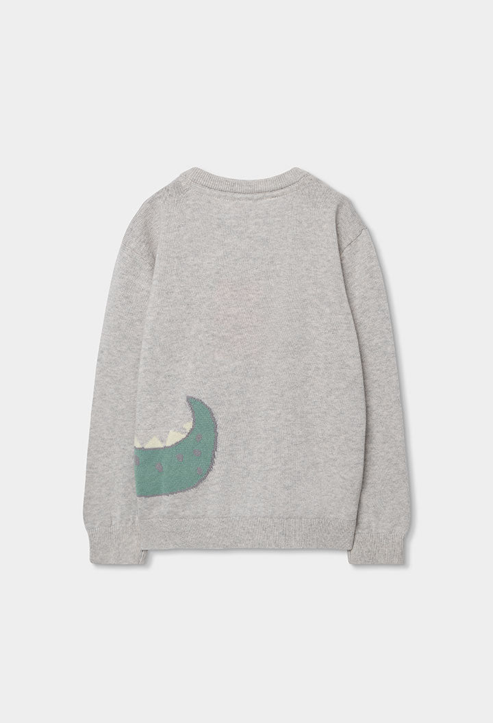 Boys Grey Pullover Top