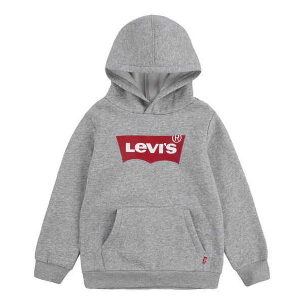Levis Boys Grey Hoodie
