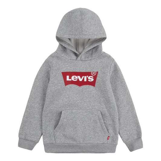 Levis Boys Grey Hoodie