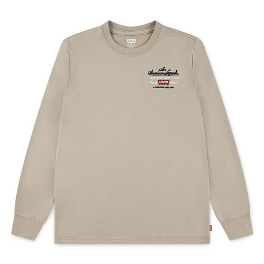 Levis Boys Sweater