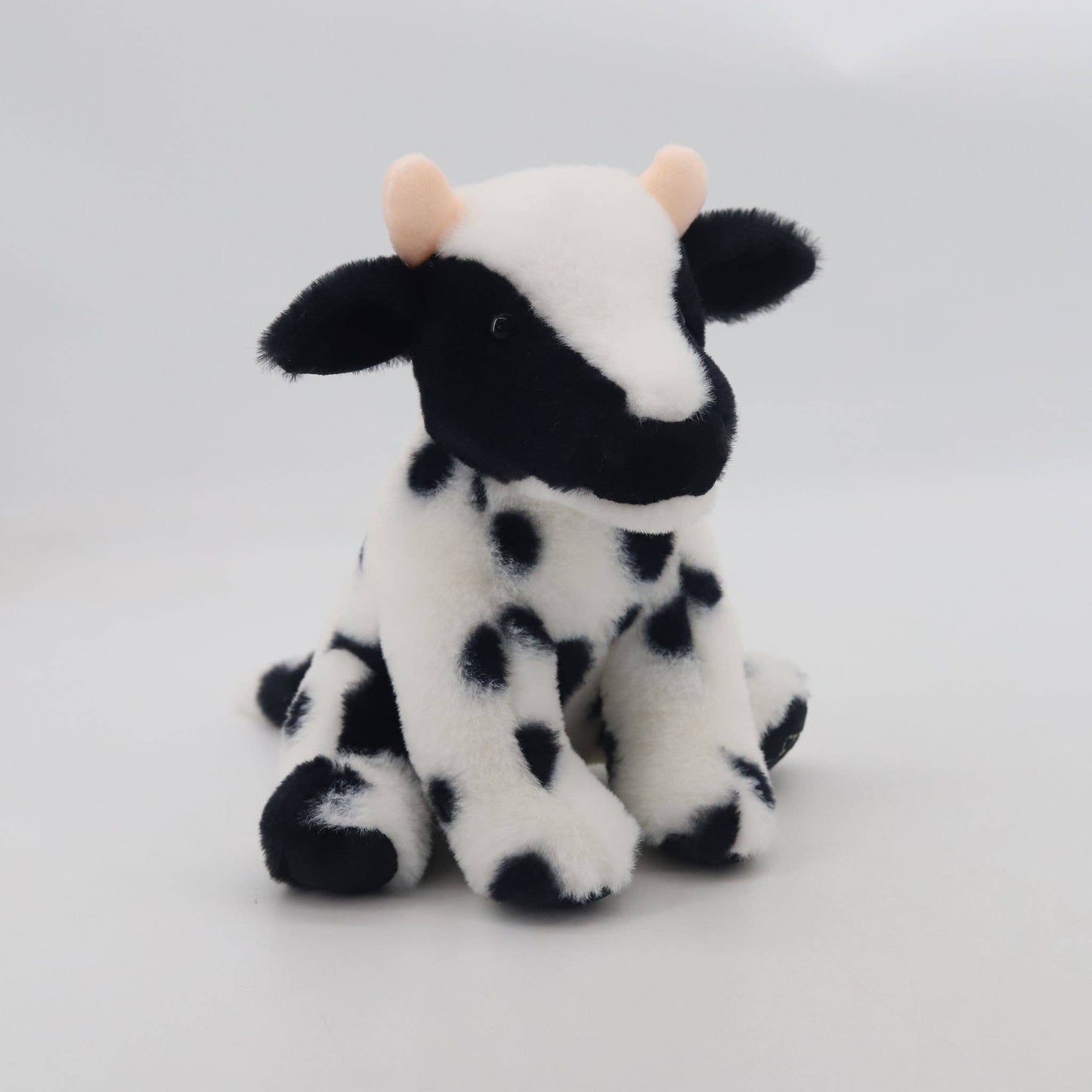 Black & White Dairy Cow