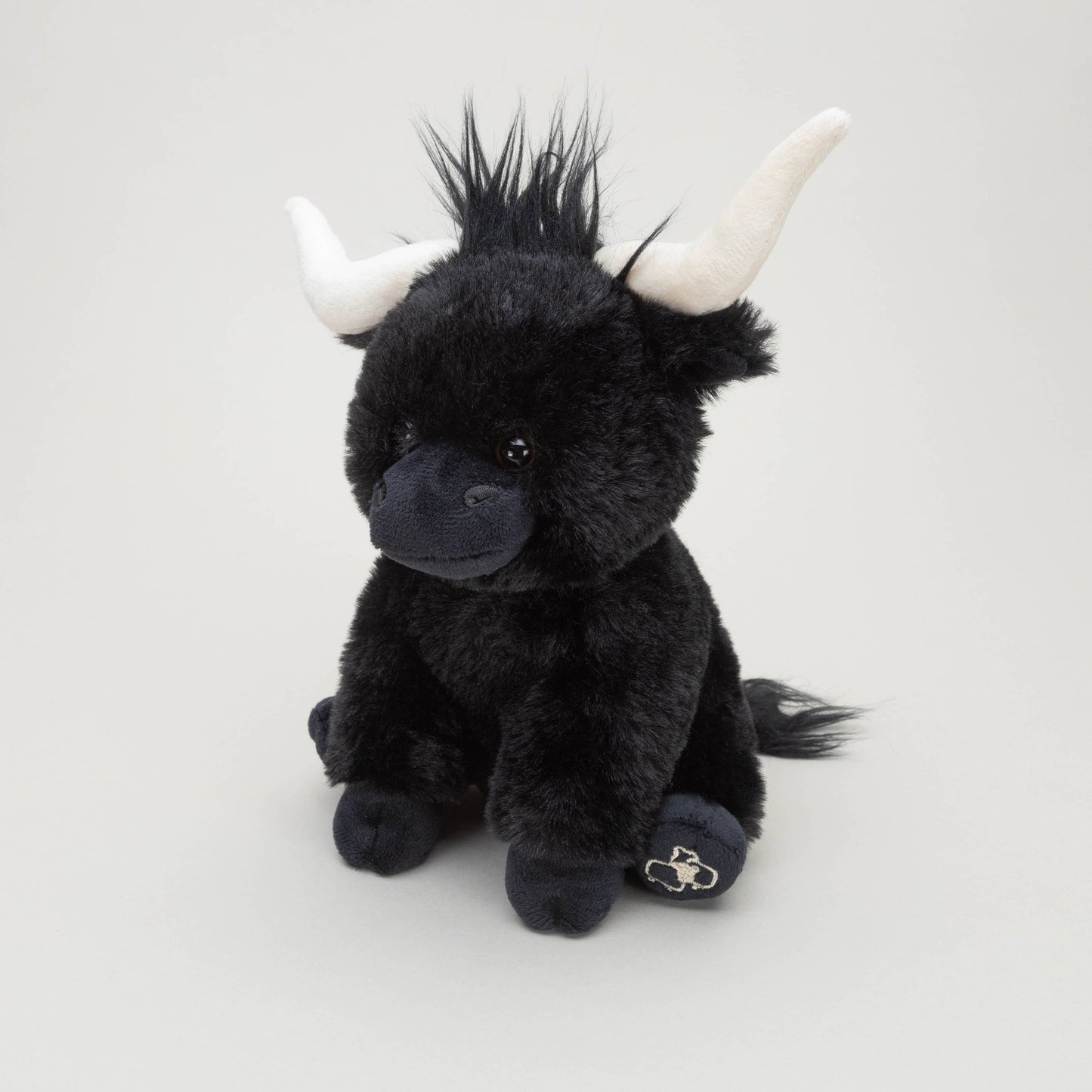 Black Longhorn Highland Cow