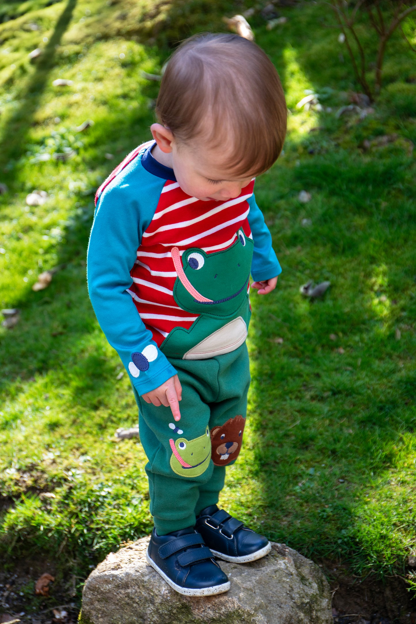 Boys Frog Top