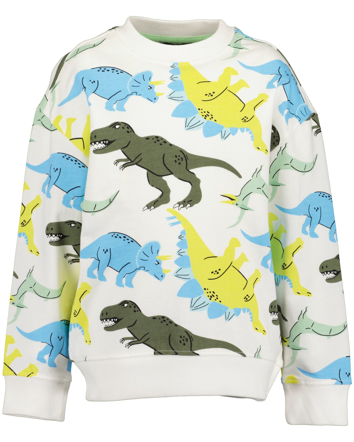 Boys Dino Sweatshirt