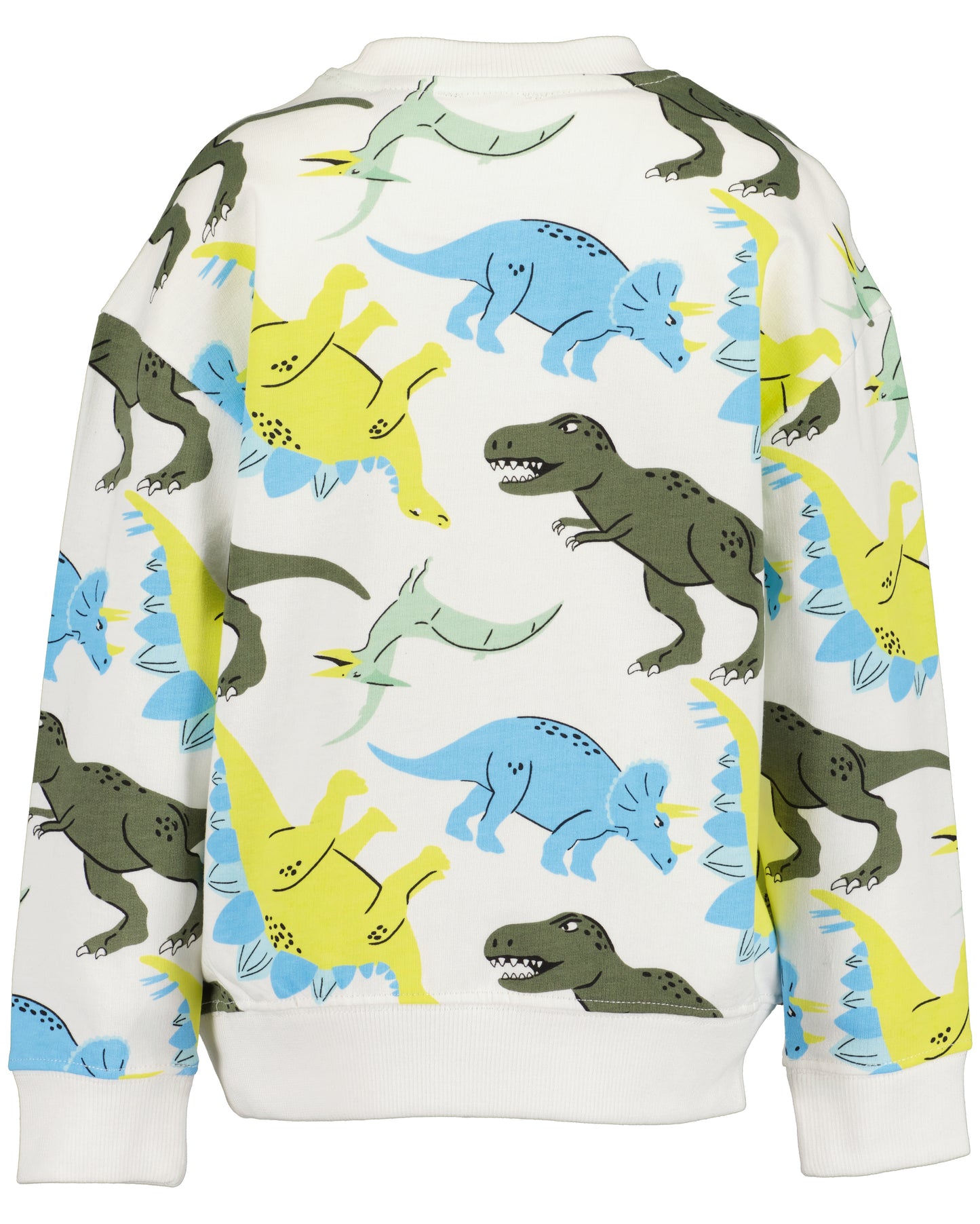 Boys Dino Sweatshirt