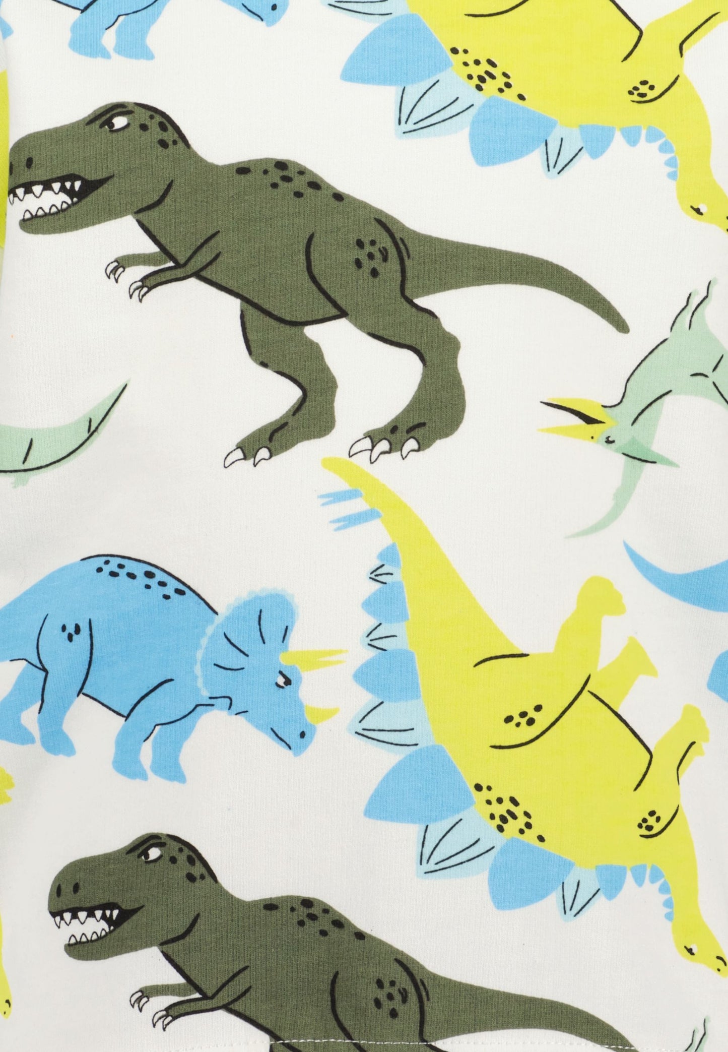 Boys Dino Sweatshirt