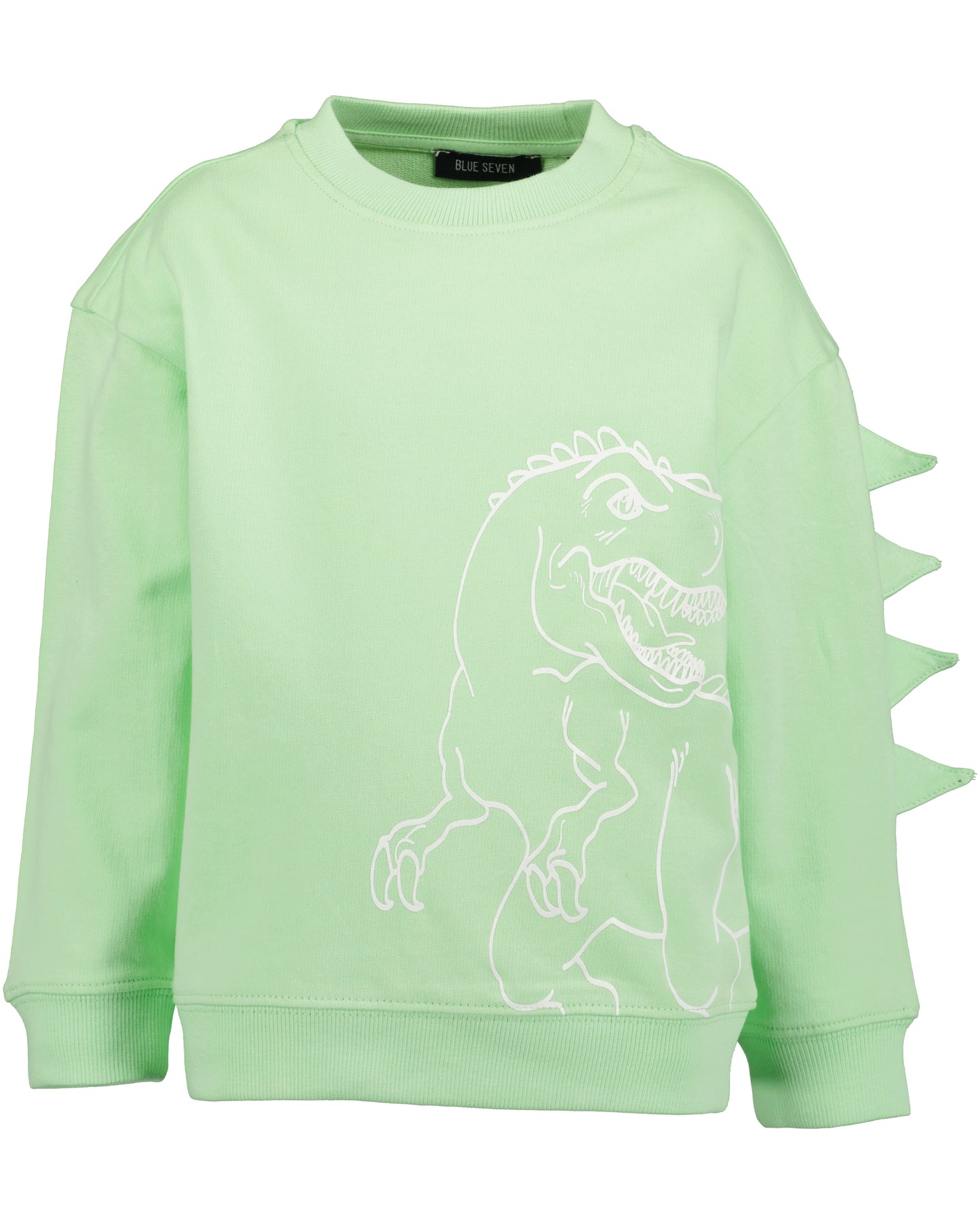 Boys Dino Sweatshirt