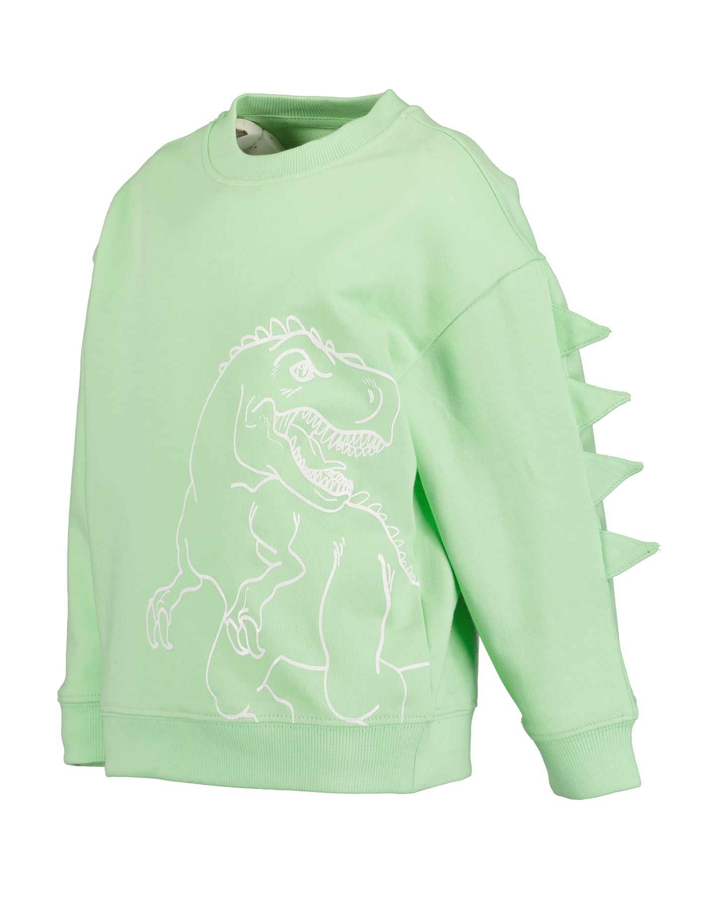 Boys Dino Sweatshirt