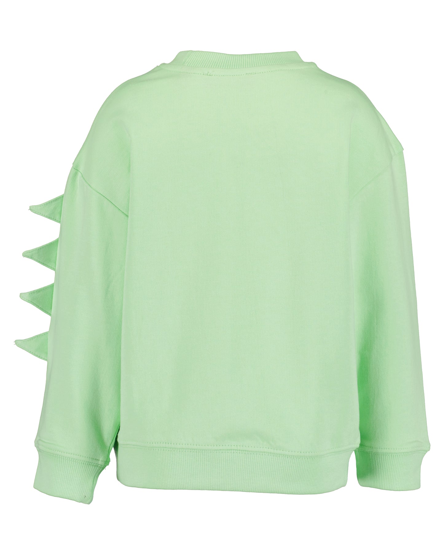 Boys Dino Sweatshirt