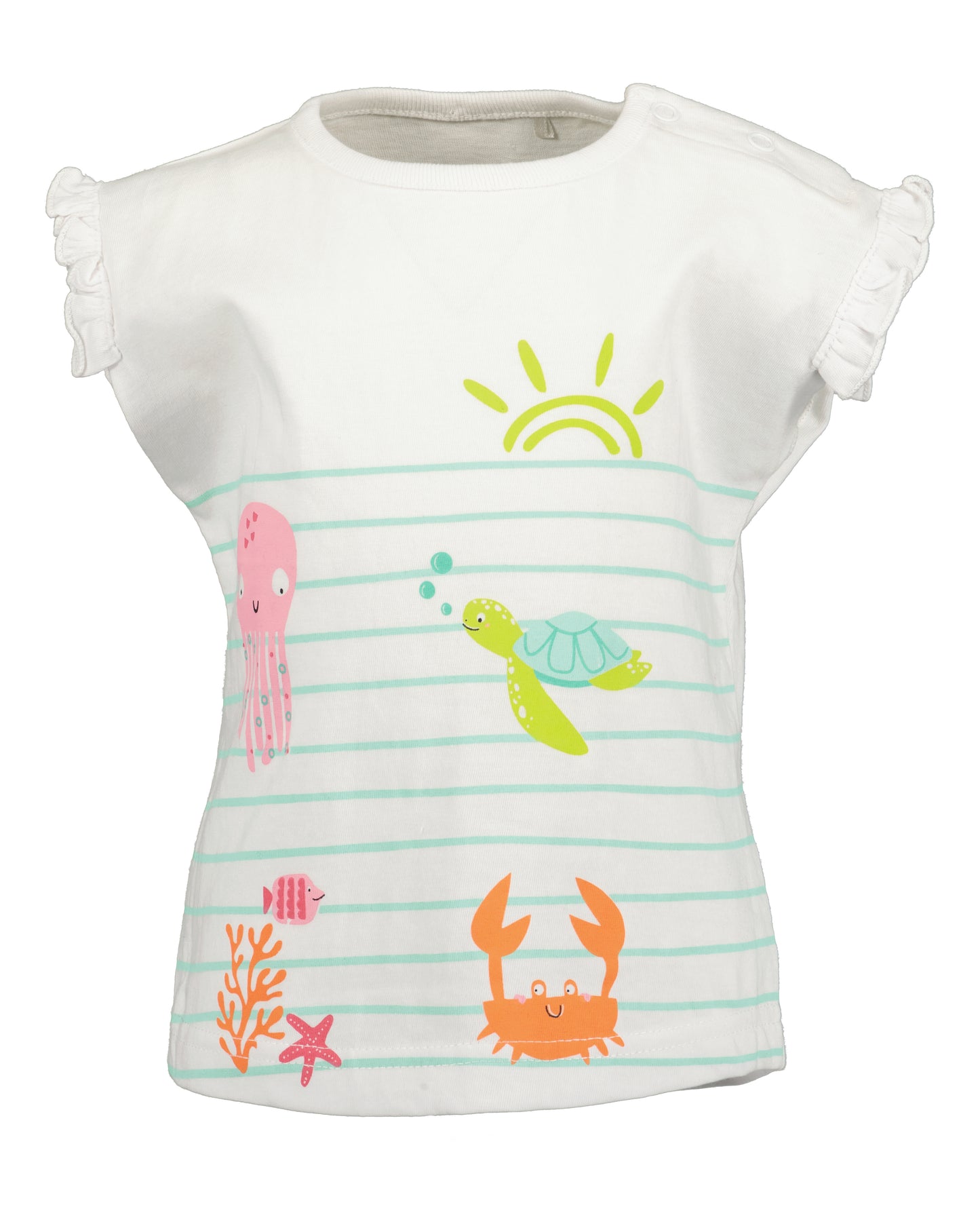 Sea life Set
